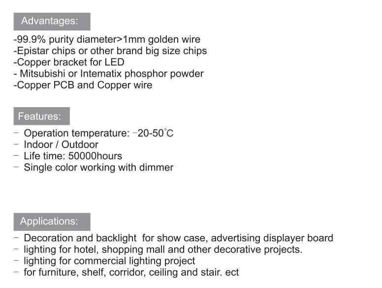 2110SMD LED Flexible Strip 2.1*1.0mm Slim Body 700LEDs Per Meter