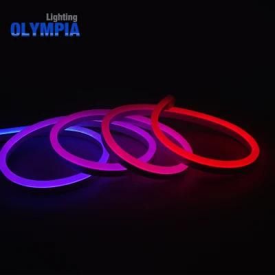 DMX Color Changing LED Ribbon Lights RoHS Strip