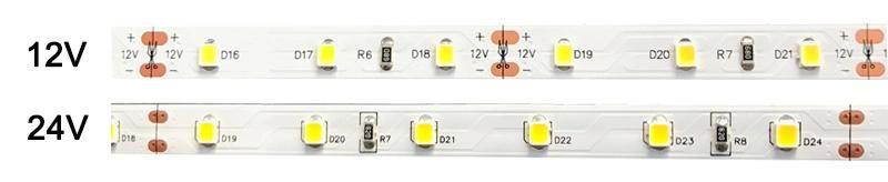 12W 60LEDs Flex LED Strip Light with 2835 SMD LED