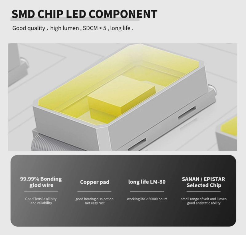 High Bright SMD2835 LED Strip 240LEDs/M with TUV CE RoHS IEC/En62471