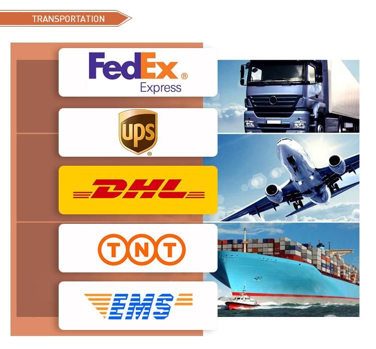 2020 Hot Sale 3D Frontlit LED Illuminated Channel Letter/Sign