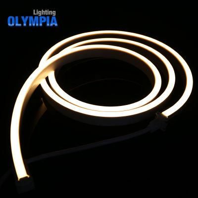 Hot Selling 24V DC Single Color LED Neon Strip Light