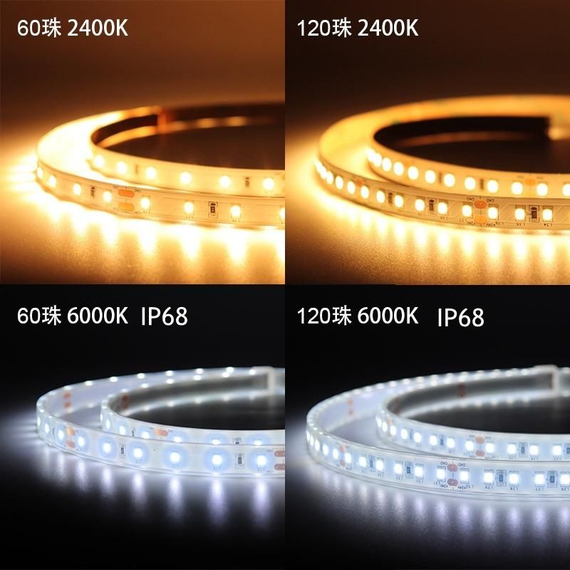 High Flux White Warm White Pointless Flexible COB LED Strip RGB LED Lighting