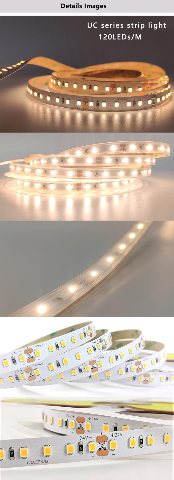 SMD5050 IP64 LED Strip Light