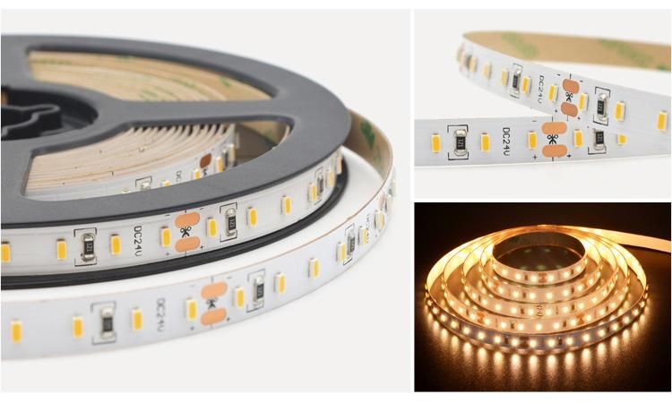 Perfect LED CRI95 SMD 2216 LED Light Strip 240 LEDs Strip Per Meter