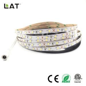 High Brightness DC12V 24V IP65 SMD2835 Ww Cw 5m 60LEDs Flexible LED Strip Tape Ce ETL UL