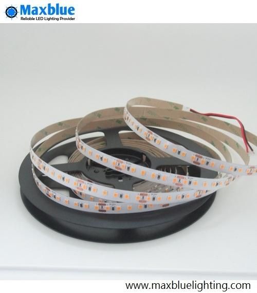 DC12V/DC24V 120LEDs/M 2835 SMD 22-24lm/LED Flexible LED Strip