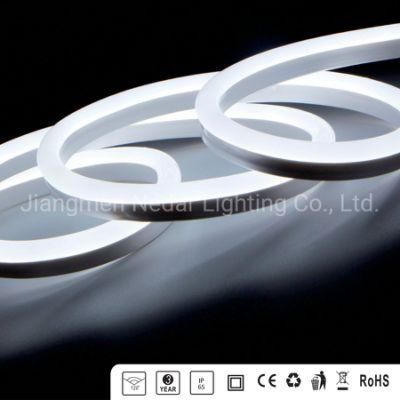 SGS-Ce 10*20 -110V/127V/220V/230V/240V LED Neon Light for LED Lighting Cinta Neon