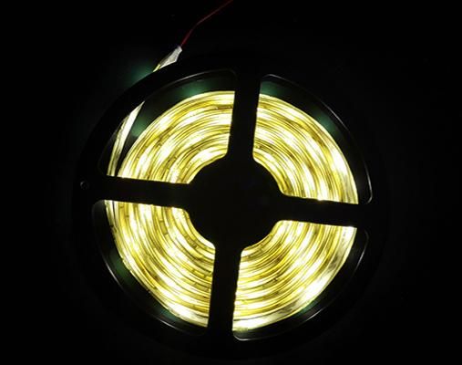 High Density LED Strip Light DC 12V/24V White Color Light for Landscape Lighting