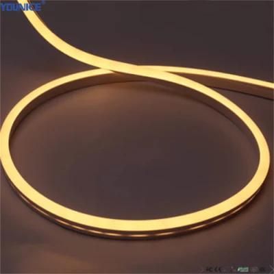 RGB White Orange Yellow Neon Strip for Signage