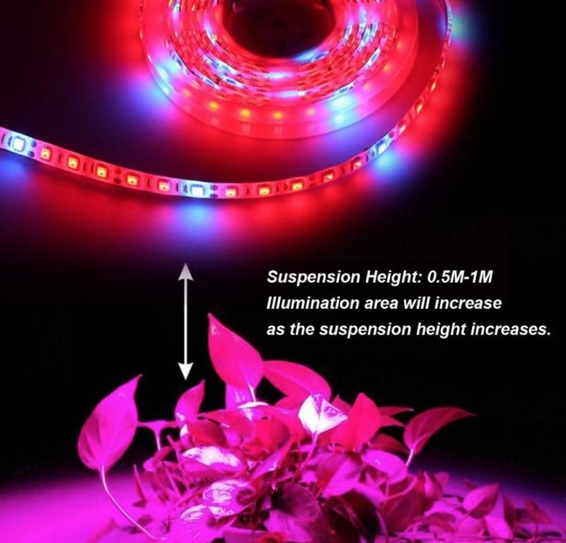 Easinghome Ce RoHS LED Strip 84LED/M SMD3014 LED Soft Lamp Strip DC 12/24V Input Side-View LED Christmas Light SMD LED Flexible Strip