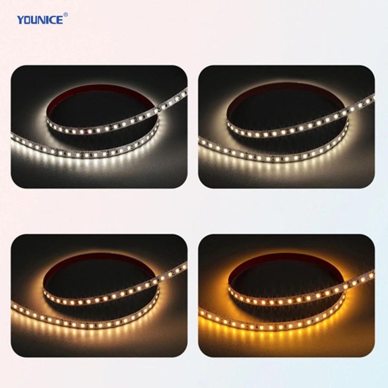 10mm Width DC24vd CRI>95 Ra>97 Full Spectrum 3000K LED Strip