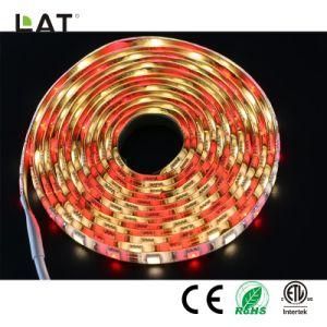 DC12V 5m IP20 Smart WiFi SMD 5050 Rgbww 30/60/120LEDs Flexible LED Strip Light Work with Echo Enable Alexa Voice