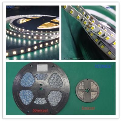 120LED/M DC24V 8mm Width SMD2835 LED Tape Light Flexible Strip