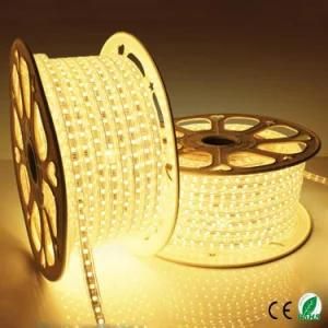 60LEDs/M 110V 220V 5050 Super Bright Waterproof LED Strip Light