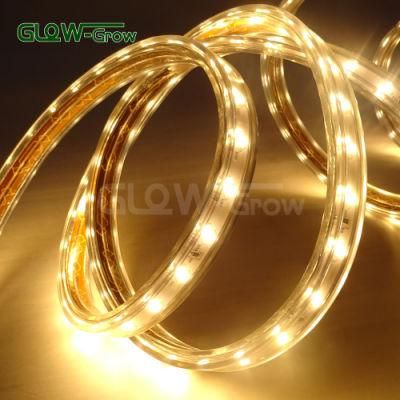 230V/110V IP65 Waterproof 3000K Warm White 60*2LEDs/M 2835 LED Strip Light for Outdoor House Bar Decoration