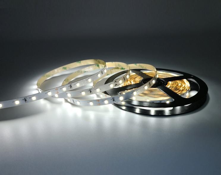 Waterproof Flexible LED Light Strip SMD2835 12V for Outdoor Light