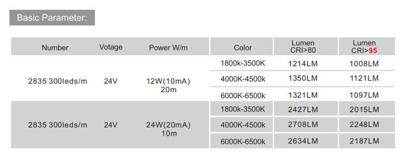 New Design Hot Selling Full Spectrum 300LEDs Per Meter IC Built in LED Strip White Color Without Resistor