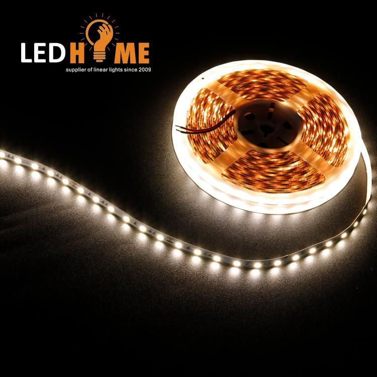 SMD 5050 60LEDs DC 24V LED Strip From China Factory