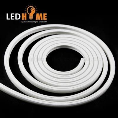 12V/24V Strip Light Flexible LED Neon