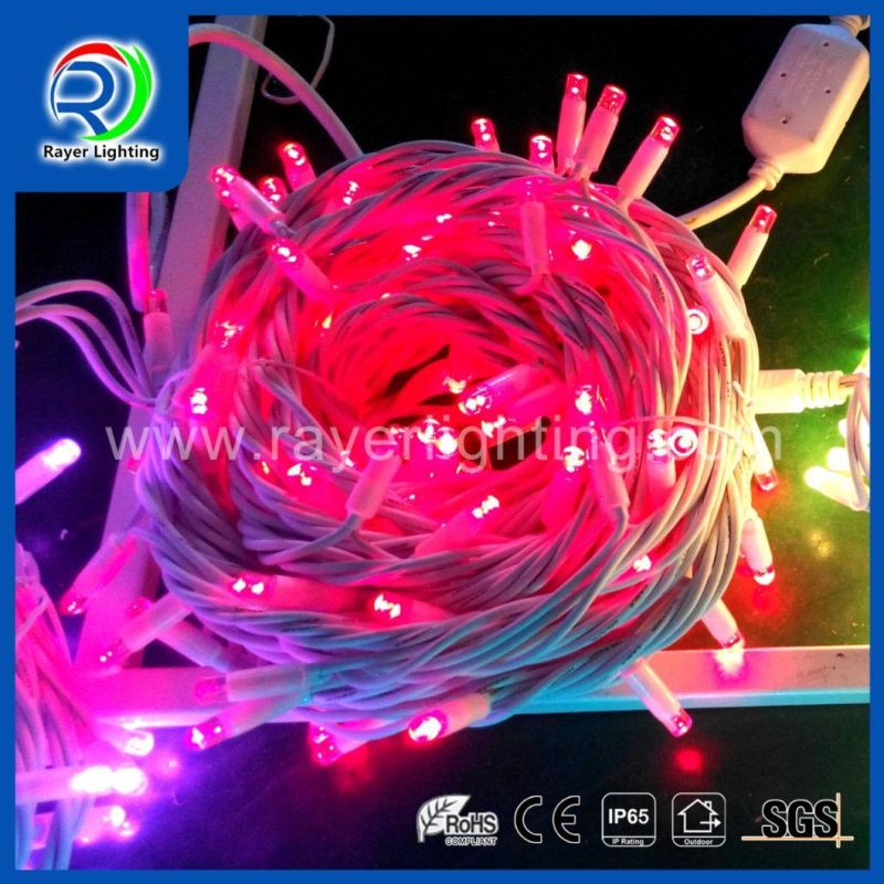 LED Festival Lighting LED Twinkling String Light LED Holiday Decoration LED Home Decoration