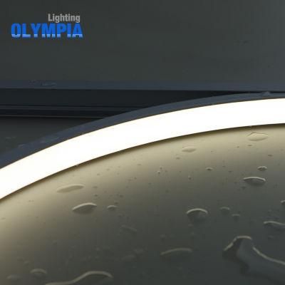 Olympia Ce RoHS Certified IP68 LED Neon Table Light