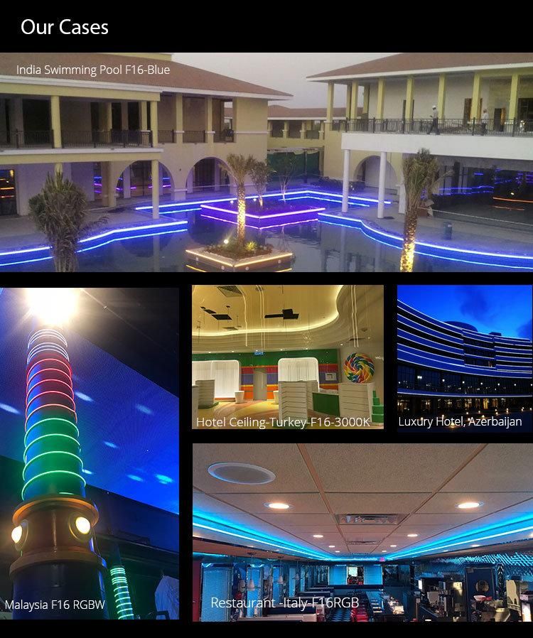 Flexible 24V 3528 Neon Bulb LED Strip Light