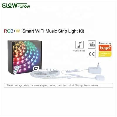 SMD 5050 60LED/M DC12V LED RGB Smart Strip Light RF Receiver with Remote and APP