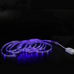 Best Price Flexible Waterproof LED Strip 8mm 12mm SMD3528 5050 DC6V12V24V LED 60LEDs/M LED Strip Lighting