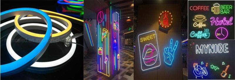 High Efficiency Positive Light Colourful Neon LED Strips