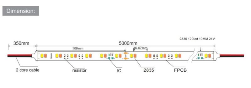 SMD2835 120 LEDs/M Dim to Warm LED Light Strip for Decorative LED Lighting