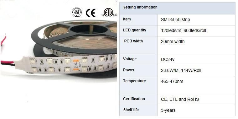 High Brightness 28.8W/M Double Row 5050SMD Flexible LED Strip Light