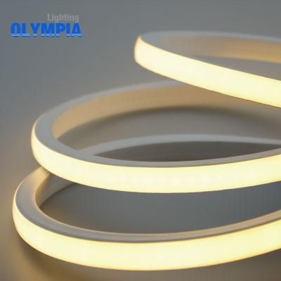 Ultra-Thin LED Neon Light Waterproof Flexible Strip