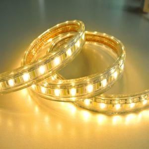 Waterproof Double Color 5630 LED Strip Light