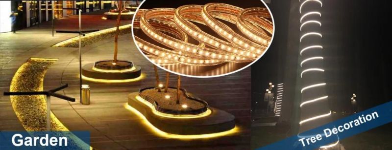 LED Strip Light LED Rope Light LED Ribbon SMD 2835 600LEDs 5 Meter Kit 16.4FT Length with Power Supply Ce Certified Waterproof