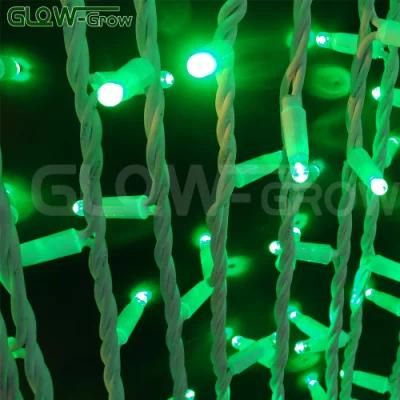 Indoor Outdoor Use 230V Waterproof LED Curtain Light for Festival Decoration