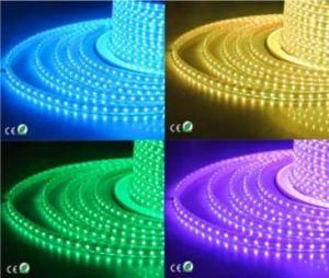 100m/Reel 220V Brightness Strip LED 3528 with Ce RoHS