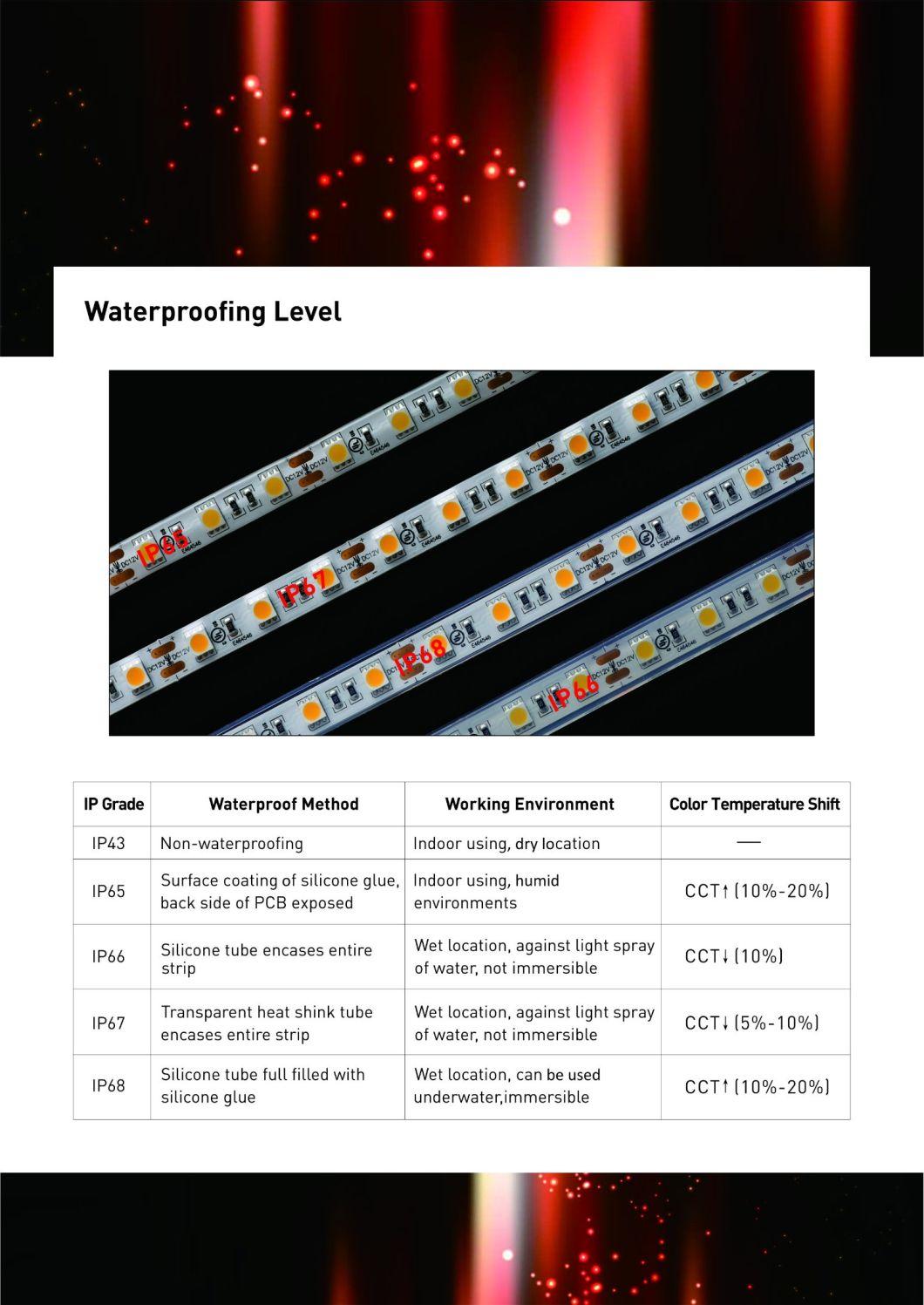 14.4W 24V 3000K Waterproof IP66 LED Strip Light with Ce UL