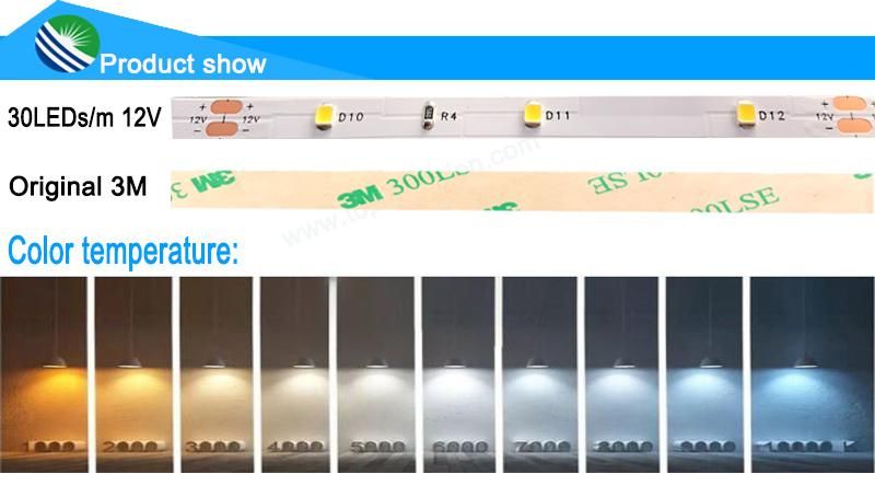 Factory Price SMD2835 LED Rope Light LED Strip 12VDC