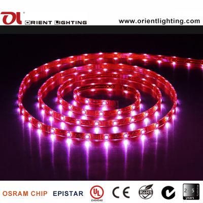 Ce UL Approved 7.2W/M SMD 5060 Flexible LED Strip Light