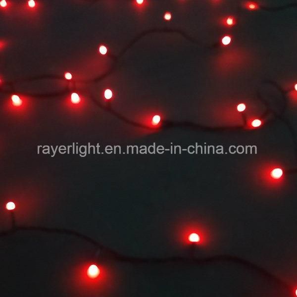 Lighting Project Outdoor RGB DMX Controlled LED String Lights