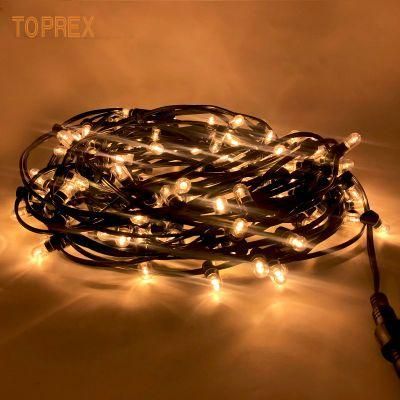 Outdoor String Lighting DC 12V IP65 Quality LED Clip Lights for Trees