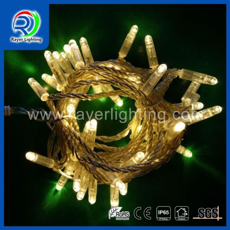 LED Fairy Decorative Hotel Christmas Lights for Outdoor Project Lights