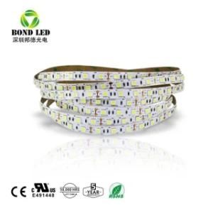 Top Quality and Energy Saving 12V 60PCS Per Meter IP68 5050 LED Strip