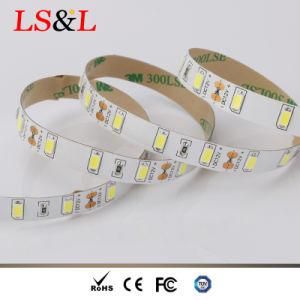 3528SMD Waterproof 120LEDs/M LED Strip Rope Light