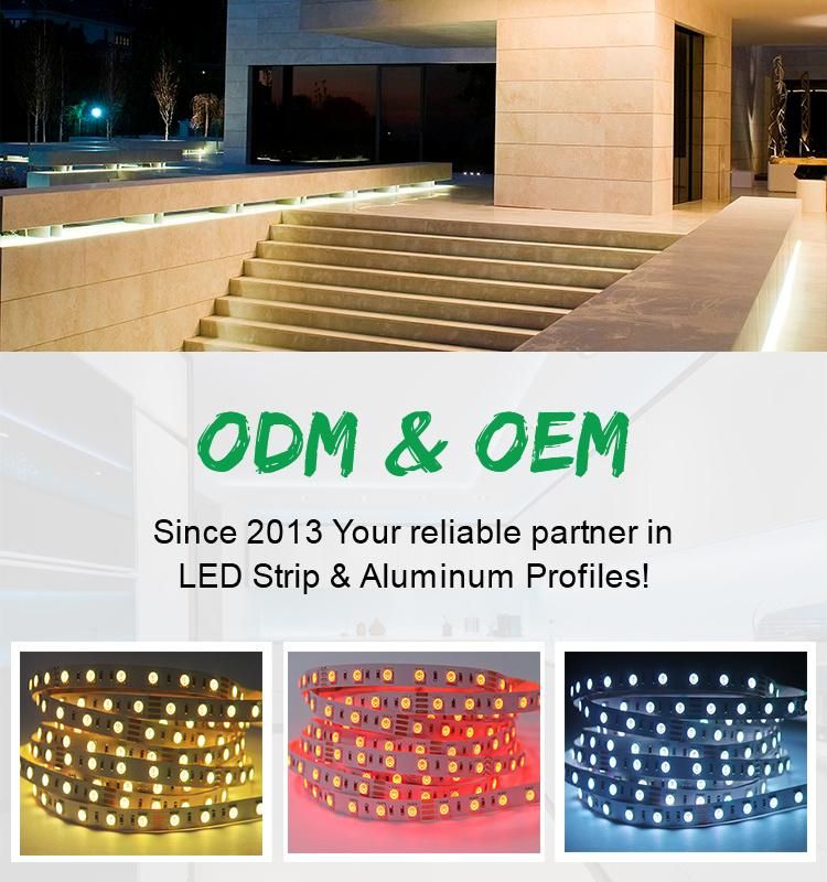 Competitive Price 19.2W/M 60LED/M SMD5050 RGB Color Flexible LED Tape Light Strip