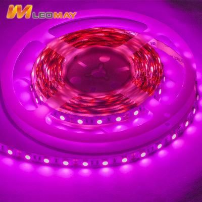 Pink Lighting LED Light Bar LED Light LED Strip Light