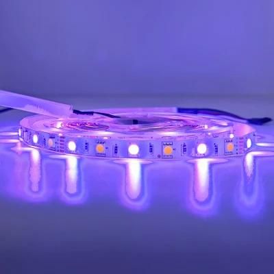 Good Service Customized Cx-Lumen Energy Saving LED Light with RoHS Latest Technology