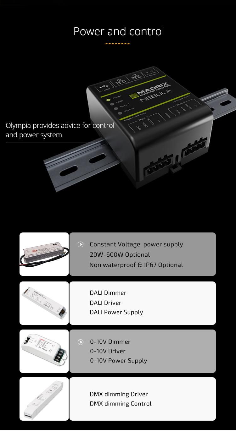 Ce and RoHS Waterproof IP68 SMD5050 LED Strip Light