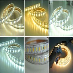 SMD5630 Double Color LED Rope Light